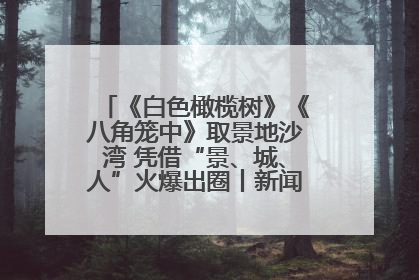 《白色橄榄树》《八角笼中》取景地沙湾 凭借“景、城、人”火爆出圈丨新闻发布最前线