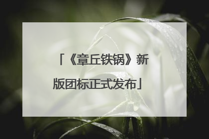 《章丘铁锅》新版团标正式发布