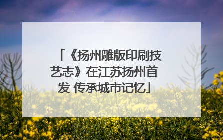 《扬州雕版印刷技艺志》在江苏扬州首发 传承城市记忆
