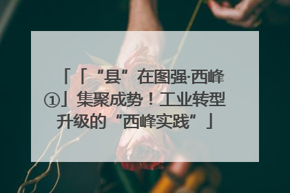 「“县”在图强·西峰①」集聚成势！工业转型升级的“西峰实践”