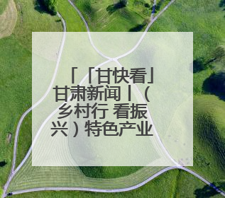 「甘快看」甘肃新闻丨（乡村行 看振兴）特色产业托起乡村振兴路