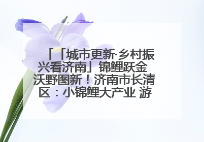 「城市更新·乡村振兴看济南」锦鲤跃金 沃野图新！济南市长清区：小锦鲤大产业 游出农旅新风景