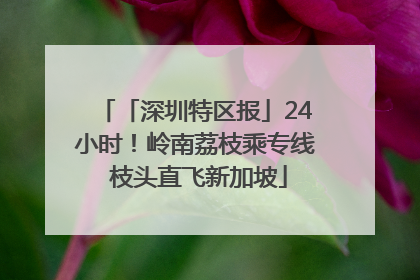 「深圳特区报」24小时！岭南荔枝乘专线 枝头直飞新加坡