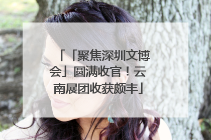 「聚焦深圳文博会」圆满收官！云南展团收获颇丰