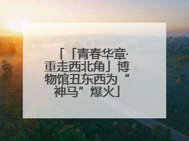 「青春华章·重走西北角」博物馆丑东西为“神马”爆火