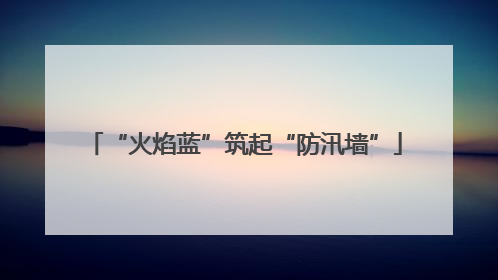 “火焰蓝”筑起“防汛墙”