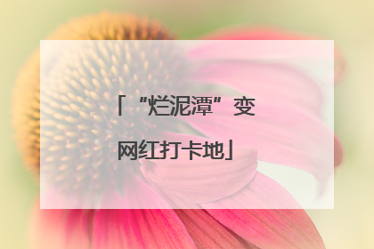 “烂泥潭”变网红打卡地