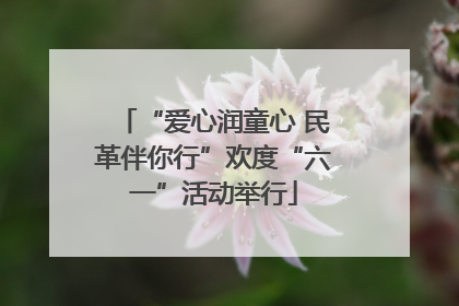 “爱心润童心 民革伴你行”欢度“六一”活动举行