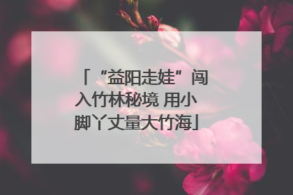 “益阳走娃”闯入竹林秘境 用小脚丫丈量大竹海