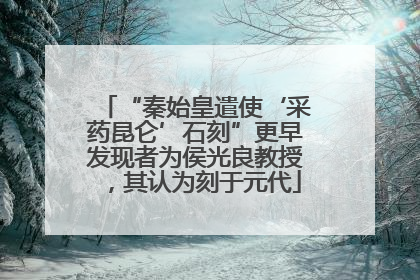 “秦始皇遣使‘采药昆仑’石刻”更早发现者为侯光良教授，其认为刻于元代