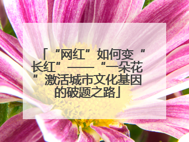 “网红”如何变“长红”——“一朵花”激活城市文化基因的破题之路
