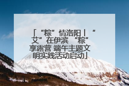 “粽”情洛阳丨“艾”在伊滨 “粽”享露营 端午主题文明实践活动启动