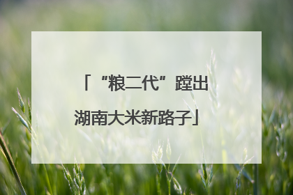 “粮二代”蹚出湖南大米新路子