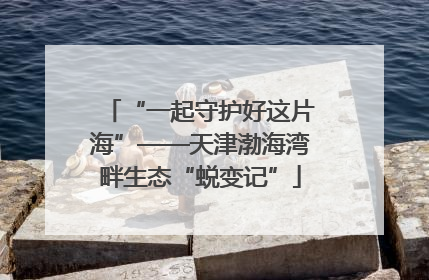 “一起守护好这片海”——天津渤海湾畔生态“蜕变记”