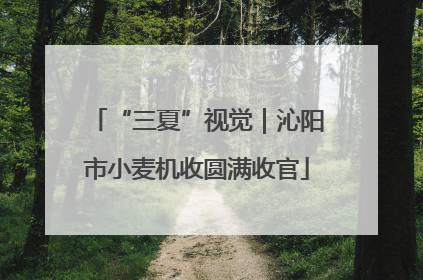 “三夏”视觉｜沁阳市小麦机收圆满收官