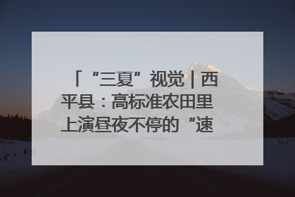 “三夏”视觉｜西平县：高标准农田里上演昼夜不停的“速度与激情”