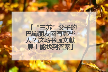 “三苏”父子的巴蜀朋友圈有哪些人？这场书画文献展上能找到答案