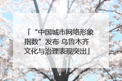 “中国城市网络形象指数”发布 乌鲁木齐文化与治理表现突出