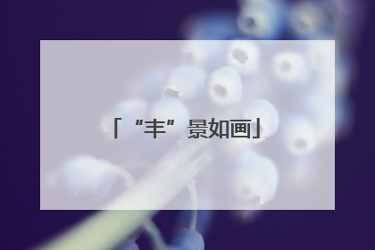 “丰”景如画