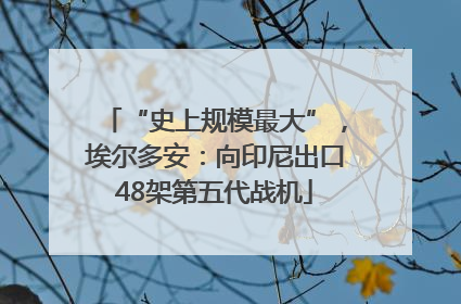 “史上规模最大”，埃尔多安：向印尼出口48架第五代战机