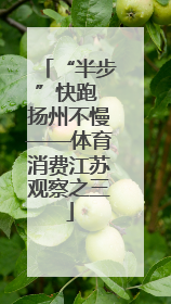 “半步”快跑 扬州不慢——体育消费江苏观察之三