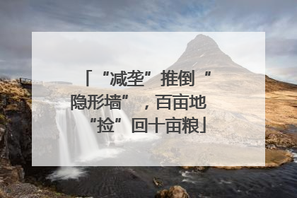 “减垄”推倒“隐形墙”，百亩地“捡”回十亩粮