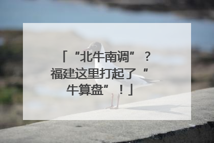 “北牛南调”？福建这里打起了“牛算盘”！