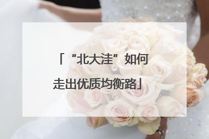 “北大洼”如何走出优质均衡路