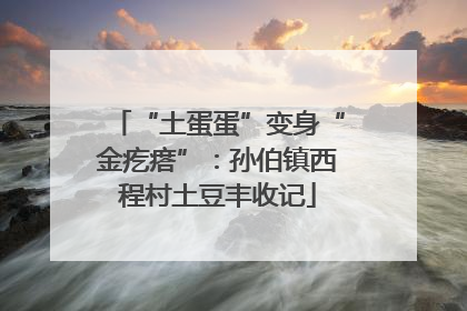 “土蛋蛋”变身“金疙瘩”：孙伯镇西程村土豆丰收记