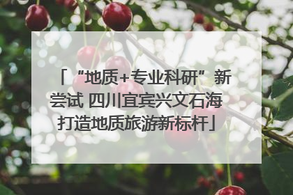 “地质+专业科研”新尝试 四川宜宾兴文石海打造地质旅游新标杆