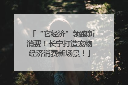 “它经济”领跑新消费！长宁打造宠物经济消费新场景！