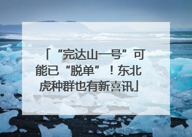 “完达山一号”可能已“脱单”！东北虎种群也有新喜讯