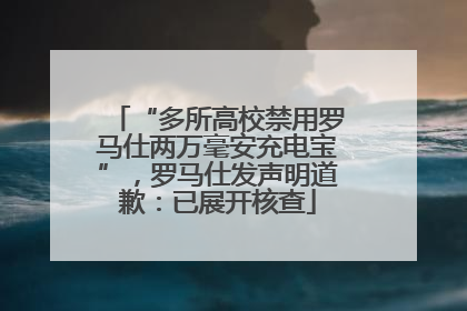 “多所高校禁用罗马仕两万毫安充电宝”，罗马仕发声明道歉：已展开核查