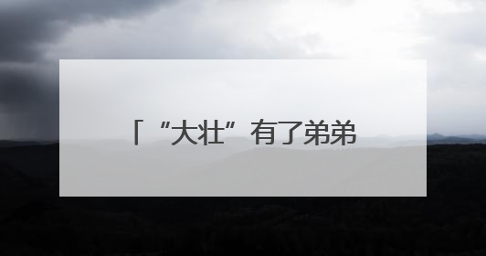 “大壮”有了弟弟妹妹 湖北人形机器人加速“添丁”