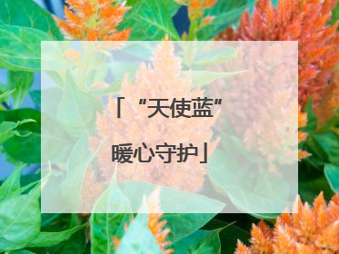 “天使蓝” 暖心守护