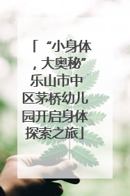 “小身体，大奥秘” 乐山市中区茅桥幼儿园开启身体探索之旅