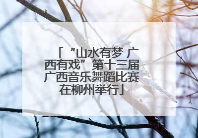“山水有梦 广西有戏”第十三届广西音乐舞蹈比赛在柳州举行