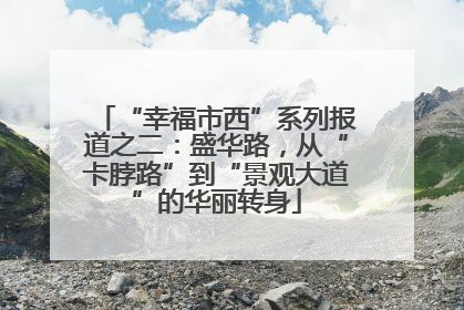“幸福市西”系列报道之二：盛华路，从“卡脖路”到“景观大道”的华丽转身