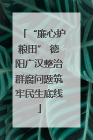 “廉心护粮田” 德阳广汉整治群腐问题筑牢民生底线