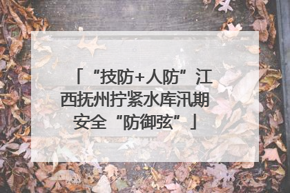 “技防+人防”江西抚州拧紧水库汛期安全“防御弦”