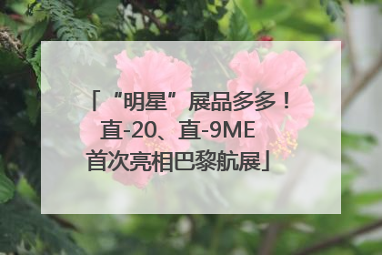 “明星”展品多多！直-20、直-9ME首次亮相巴黎航展