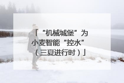 “机械城堡”为小麦智能“控水”（三夏进行时）