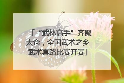 “武林高手”齐聚太仓，全国武术之乡武术套路比赛开赛