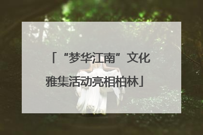 “梦华江南”文化雅集活动亮相柏林