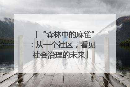 “森林中的麻雀”：从一个社区，看见社会治理的未来