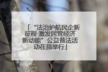 “法治护航民企新征程·激发民营经济新动能”公益普法活动在昆举行