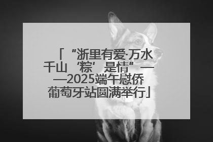 “浙里有爱·万水千山‘粽’是情”——2025端午慰侨葡萄牙站圆满举行