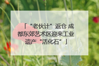“老伙计”返仓 成都东郊艺术区迎来工业遗产“活化石”