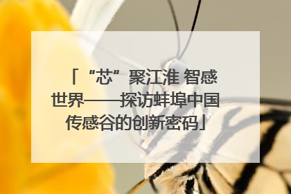 “芯”聚江淮 智感世界——探访蚌埠中国传感谷的创新密码