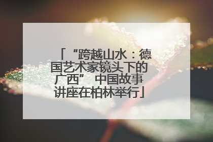 “跨越山水：德国艺术家镜头下的广西” 中国故事讲座在柏林举行